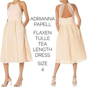 Adrianna Papell size 4 vintage inspired flaxen tulle tea length dress